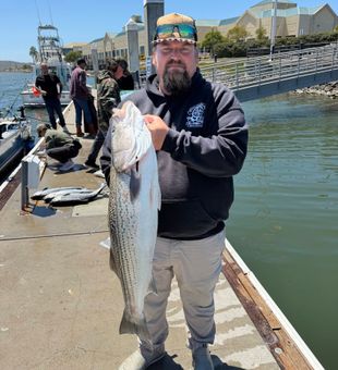 Beautiful Sacramento striped bass from today's fishing tour!