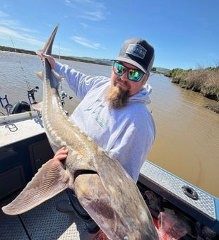 Relax, cast, repeat.