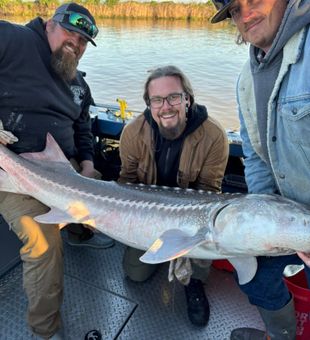 Catch the thrill on the Bay.