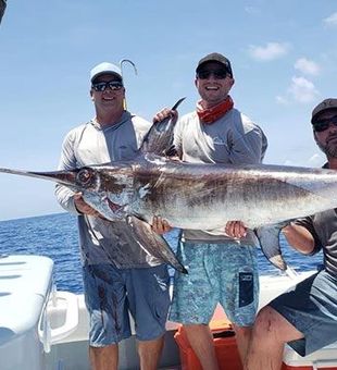 Fishing for Swordfish in Kendall, FL