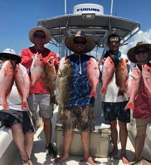 Sarasota Fishing Charters: Book Today!