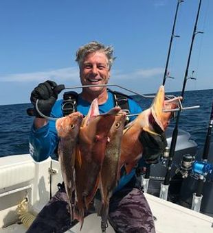 Florida Fishing Dreams Come True.