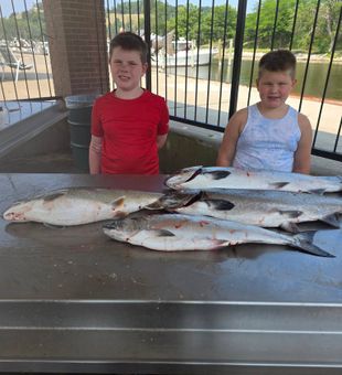 Lake Michigan Salmon Charters