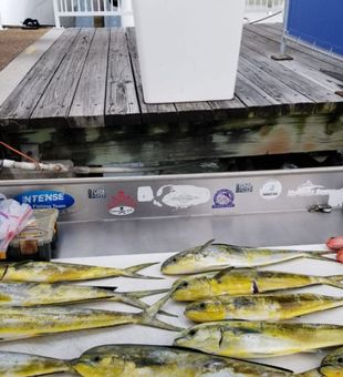 Miami Beach fishing tours for anglers of all level
