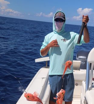 Discover the best fishing in Miami Beach waters.
