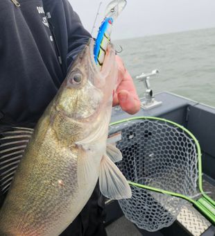 Lake Erie fishing, adventure on the line