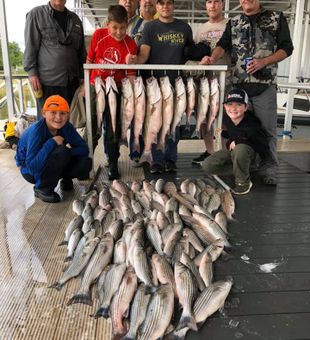 Striper Bass from Lake Texoma, OK