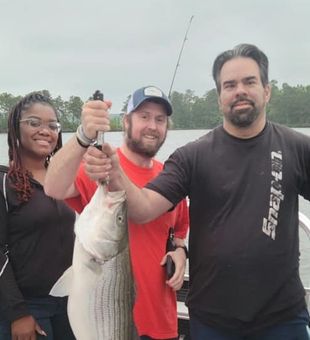 Striped Bass from Lake Martin, Alabama 