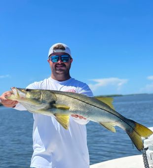 Large-Size Snook from Inshore Grounds, FL