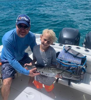 Fierce barracuda action!