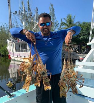 Lobsters Anyone?
