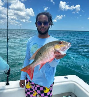 Colorful Snapper catch in Cayman!