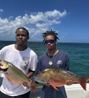 Bright Snapper duo from Cayman reefs!