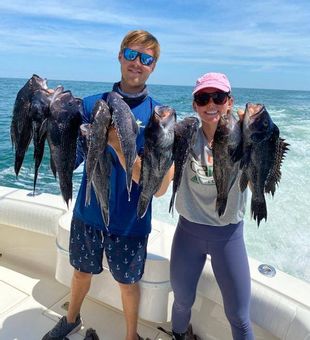 Angler reeling in Black Sea Bass