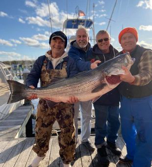 Massive striped bass success!