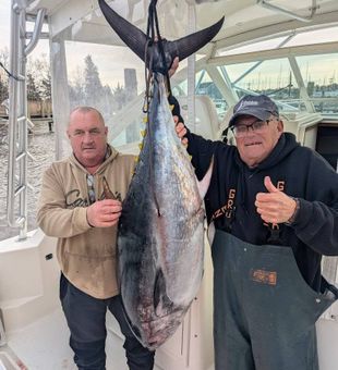 Biggest Tuna catch of the day!