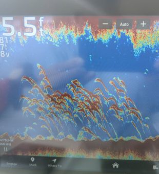 Sonar reveals prime fishing structure in Forked River NJ!