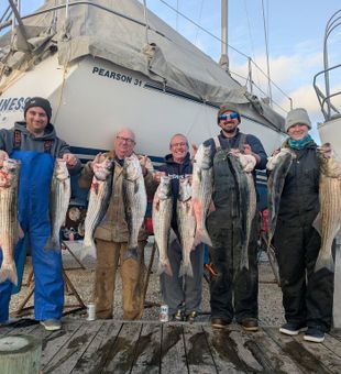 Outstanding striped bass action from Forked River!