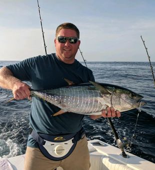 Solid blackfin tuna bite!