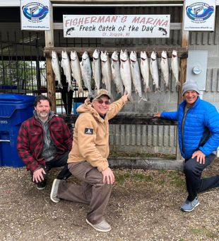 The Beauty of Salmon Fishing Lake Michigan!