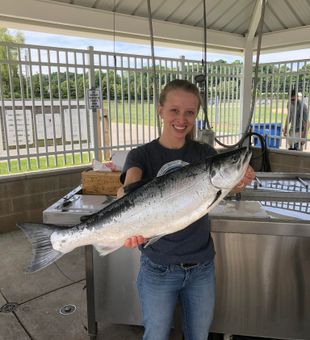 Coho Salmon: A Prized Catch for Any Angler.