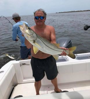 Best fishing guide, Snook in Fort Pierce, FL