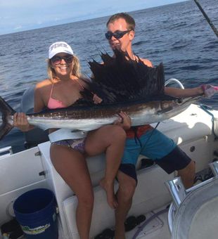 Sailfish fishing in Fort Pierce, FL