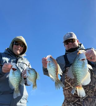 Crappie catch of the day in Branson!