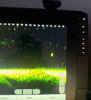 Sonar screen reveals what's lurking beneath in Branson waters.