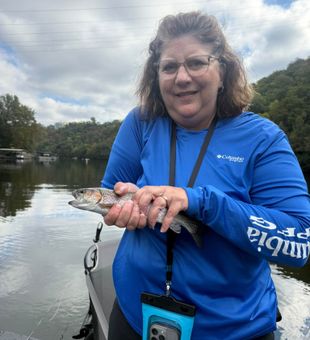 Beautiful rainbow trout from Branson waters!