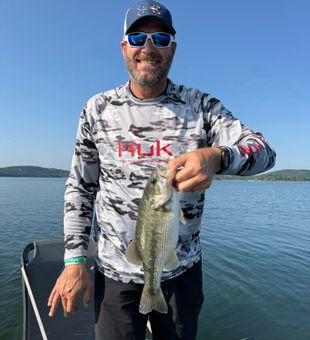 Branson is where fishing and nature connect.