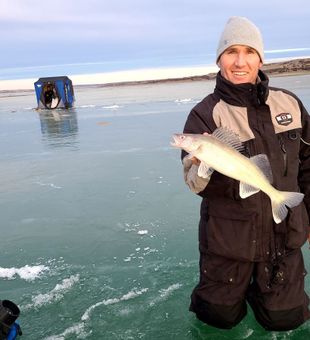 Walleye Catch in Fishing on the Missouri River!