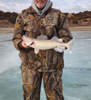Solid Ice Walleye Catch