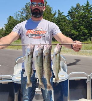 Trophy Walleye landed today
