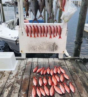 Amberjack and Red Snapper haul with Badlands Charters!