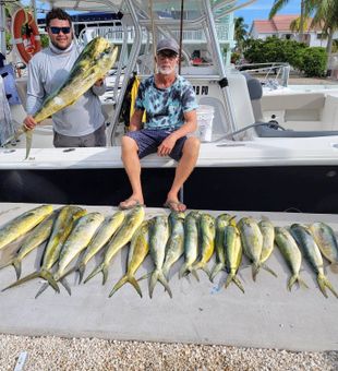 Marathon, FL mahi-mahi abundance.