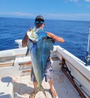 Mahi- mahi moments in Marathon, FL