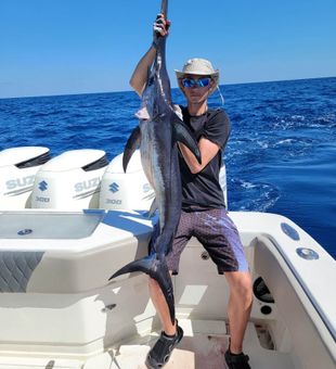 Marathon prized gamefish. Swordfish capture. 