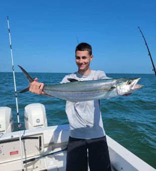 Florida's finest mackerel delight. 
