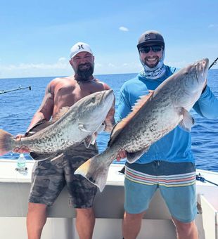 Drift, cast, and fish gag grouper