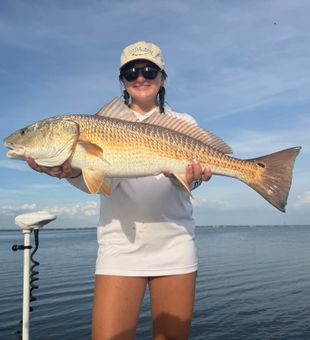 Fish the productive waters surrounding Anna Maria Island with a local guide who knows the best tides, hidden flats, and seasonal hotspots.