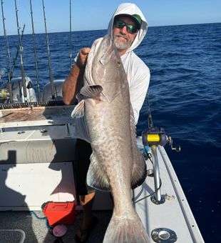 Book an offshore fishing charter in Anna Maria Island, FL, and enjoy a full day of excitement, breathtaking scenery, and unforgettable Gulf Coast fishing.