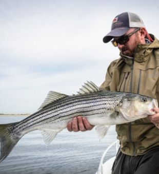 Ipswich Bay Angling