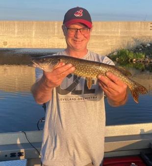 Steelhead from Pere Marquette River 