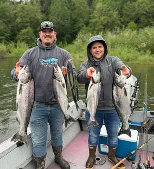 Cowlitz River had Spinning Chinooks today! 


