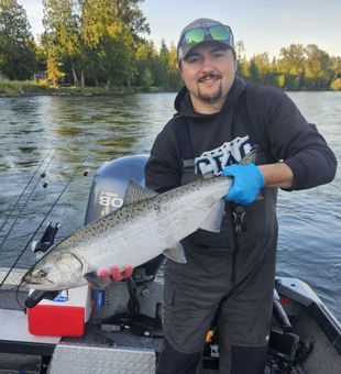 Coho Salmon reeled in - Toledo, WA.