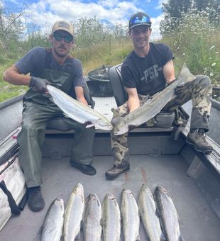 Decent Salmon Catches - Toledo, WA.