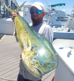 Maritime Co. Mahi-Mahi marvel in Key West!