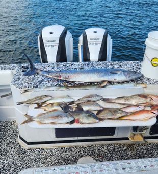 Fishy Dinner for Tonight! - Riviera Beach, FL.