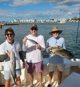 Variety Haul! - Riviera Beach, FL.